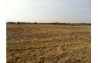 Property photo 30 - 426 Acres Offered in 11 Tracts Ranging from 4+/- to 80+/- Acres