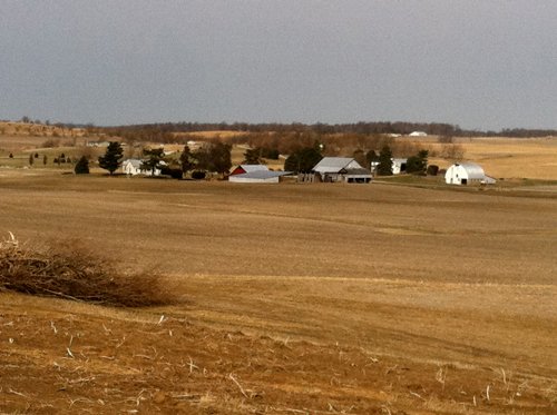 Property photo 17 - 426 Acres Offered in 11 Tracts Ranging from 4+/- to 80+/- Acres