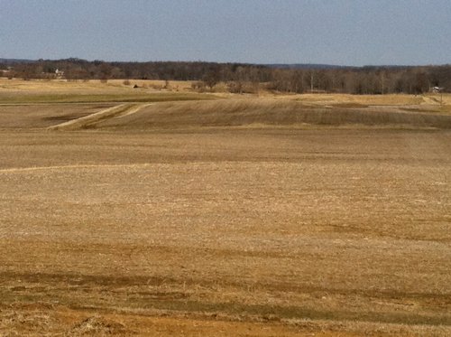 Property photo 1 - 426 Acres Offered in 11 Tracts Ranging from 4+/- to 80+/- Acres