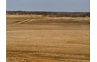Property photo 1 - 426 Acres Offered in 11 Tracts Ranging from 4+/- to 80+/- Acres