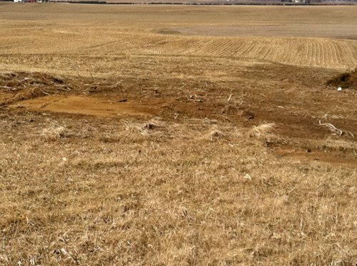 Property photo 27 - 426 Acres Offered in 11 Tracts Ranging from 4+/- to 80+/- Acres