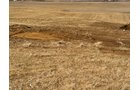 Property photo 27 - 426 Acres Offered in 11 Tracts Ranging from 4+/- to 80+/- Acres