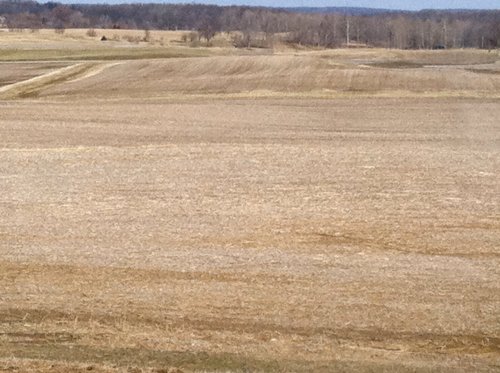 Property photo 31 - 426 Acres Offered in 11 Tracts Ranging from 4+/- to 80+/- Acres