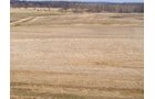 Property photo 31 - 426 Acres Offered in 11 Tracts Ranging from 4+/- to 80+/- Acres