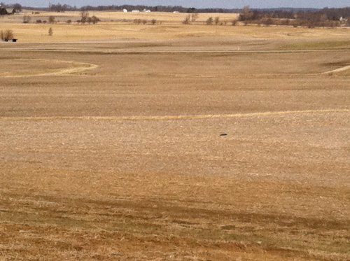 Property photo 5 - 426 Acres Offered in 11 Tracts Ranging from 4+/- to 80+/- Acres