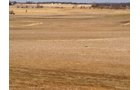 Property photo 5 - 426 Acres Offered in 11 Tracts Ranging from 4+/- to 80+/- Acres
