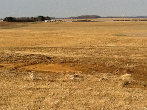 Property photo 25 - 426 Acres Offered in 11 Tracts Ranging from 4+/- to 80+/- Acres