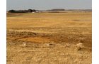 Property photo 25 - 426 Acres Offered in 11 Tracts Ranging from 4+/- to 80+/- Acres