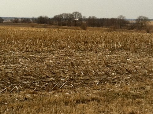 Property photo 6 - 426 Acres Offered in 11 Tracts Ranging from 4+/- to 80+/- Acres