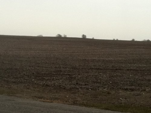 Property photo 23 - 426 Acres Offered in 11 Tracts Ranging from 4+/- to 80+/- Acres