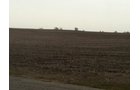 Property photo 23 - 426 Acres Offered in 11 Tracts Ranging from 4+/- to 80+/- Acres