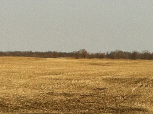 Property photo 22 - 426 Acres Offered in 11 Tracts Ranging from 4+/- to 80+/- Acres