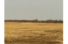 Property photo 22 - 426 Acres Offered in 11 Tracts Ranging from 4+/- to 80+/- Acres