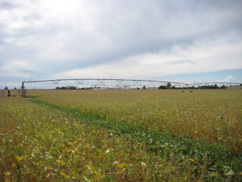 Tract 1 - Irrigation Equipment Auction - 21 Individual Irrigation Pivots