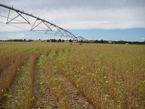 Tract 1 - Irrigation Equipment Auction - 21 Individual Irrigation Pivots