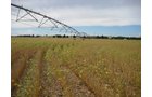 Tract 1 - Irrigation Equipment Auction - 21 Individual Irrigation Pivots