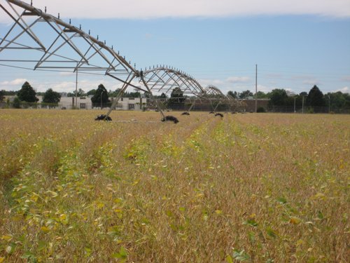 Tract 1 - Irrigation Equipment Auction - 21 Individual Irrigation Pivots