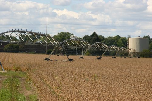 Tract 1 - Irrigation Equipment Auction - 21 Individual Irrigation Pivots