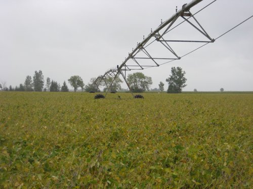 Tract 10 - Irrigation Equipment Auction - 21 Individual Irrigation Pivots
