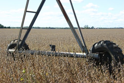 Tract 10 - Irrigation Equipment Auction - 21 Individual Irrigation Pivots