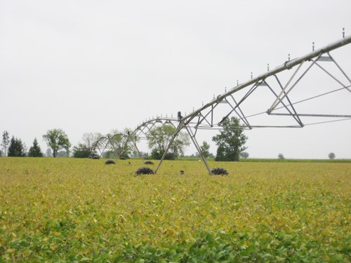 Tract 10 - Irrigation Equipment Auction - 21 Individual Irrigation Pivots
