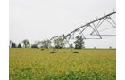 Tract 10 - Irrigation Equipment Auction - 21 Individual Irrigation Pivots