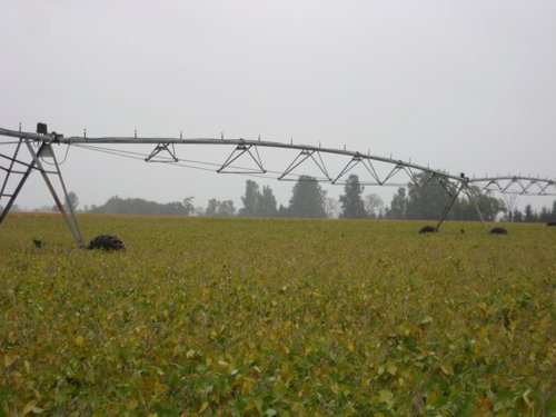 Tract 10 - Irrigation Equipment Auction - 21 Individual Irrigation Pivots