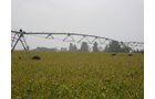Tract 10 - Irrigation Equipment Auction - 21 Individual Irrigation Pivots