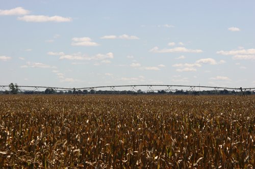 Tract 12 - Irrigation Equipment Auction - 21 Individual Irrigation Pivots