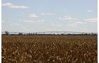 Tract 12 - Irrigation Equipment Auction - 21 Individual Irrigation Pivots