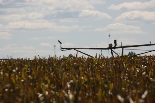 Tract 12 - Irrigation Equipment Auction - 21 Individual Irrigation Pivots
