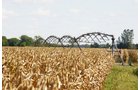 Tract 12 - Irrigation Equipment Auction - 21 Individual Irrigation Pivots