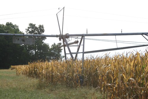 Tract 13 - Irrigation Equipment Auction - 21 Individual Irrigation Pivots