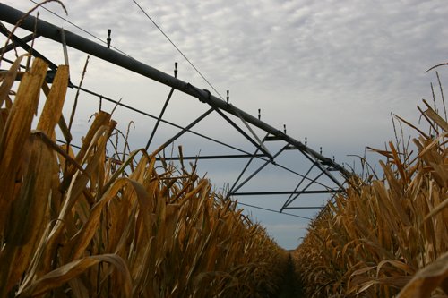 Tract 13 - Irrigation Equipment Auction - 21 Individual Irrigation Pivots