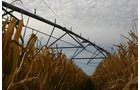 Tract 13 - Irrigation Equipment Auction - 21 Individual Irrigation Pivots