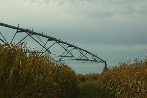Tract 13 - Irrigation Equipment Auction - 21 Individual Irrigation Pivots