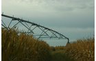 Tract 13 - Irrigation Equipment Auction - 21 Individual Irrigation Pivots