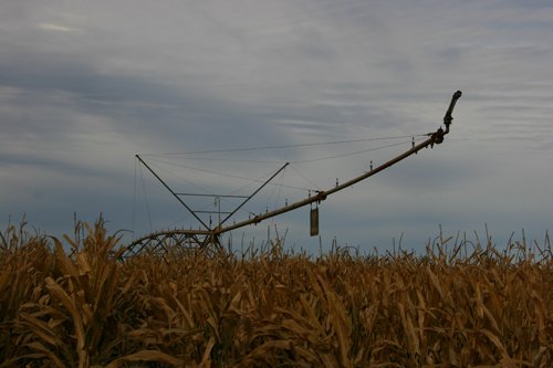 Tract 15 - Irrigation Equipment Auction - 21 Individual Irrigation Pivots