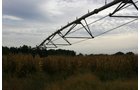 Tract 15 - Irrigation Equipment Auction - 21 Individual Irrigation Pivots