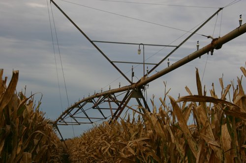 Tract 15 - Irrigation Equipment Auction - 21 Individual Irrigation Pivots