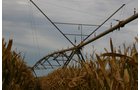 Tract 15 - Irrigation Equipment Auction - 21 Individual Irrigation Pivots