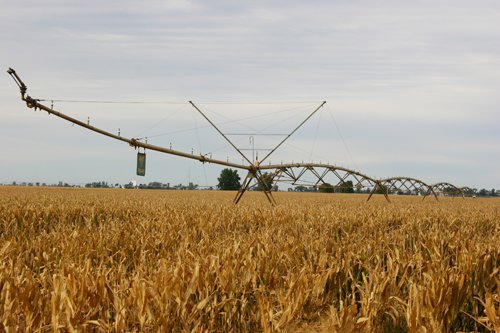 Tract 15 - Irrigation Equipment Auction - 21 Individual Irrigation Pivots