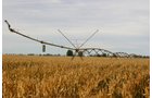 Tract 15 - Irrigation Equipment Auction - 21 Individual Irrigation Pivots