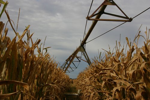 Tract 15 - Irrigation Equipment Auction - 21 Individual Irrigation Pivots