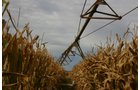 Tract 15 - Irrigation Equipment Auction - 21 Individual Irrigation Pivots