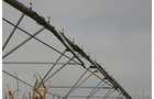 Tract 16 - Irrigation Equipment Auction - 21 Individual Irrigation Pivots