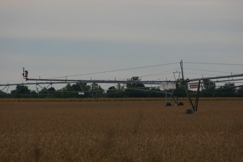 Tract 17 - Irrigation Equipment Auction - 21 Individual Irrigation Pivots