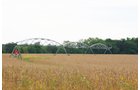 Tract 18 - Irrigation Equipment Auction - 21 Individual Irrigation Pivots