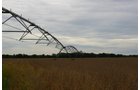 Tract 18 - Irrigation Equipment Auction - 21 Individual Irrigation Pivots