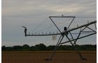 Tract 18 - Irrigation Equipment Auction - 21 Individual Irrigation Pivots